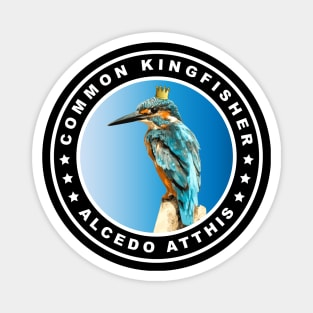 Cool Common Kingfisher (Alcedo Atthis) Bird Magnet